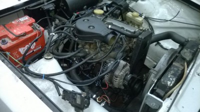 WP_20160201_003.jpg