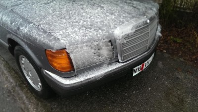 IMAG7302 (Medium).jpg