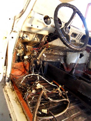SDC10674.JPG