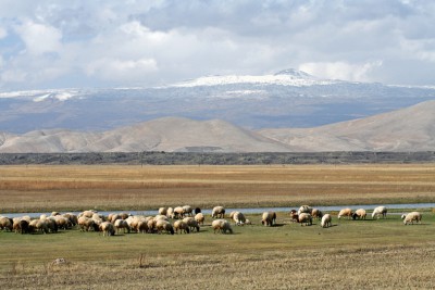 Turčija 16.jpg