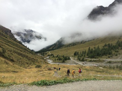 IMG_0120.jpg