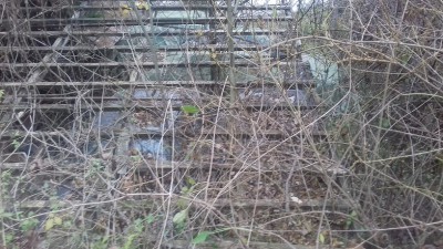 20171125_081015.jpg