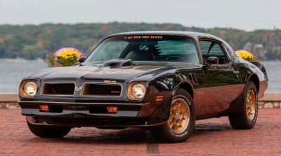 Trans_am_1976_firebird_anniversary_se_mecum.jpg