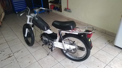 IMG_20191109_083853.jpg