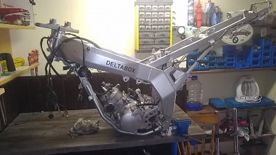 IMG_20200218_113546.jpg