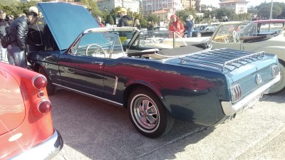 IMG_20220418_095234.jpg