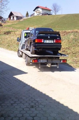 IMG1559.jpg