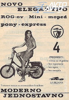 Pony 6.jpg