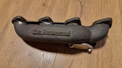 Kangaroo1.jpg
